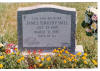 http://www.hainesmemorials.com/images/Hall,James.jpg